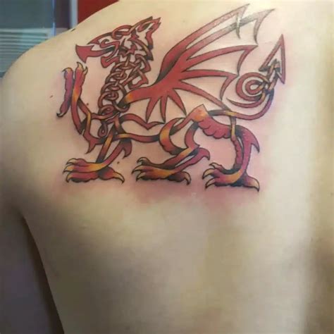 Welsh Dragon Tattoo Stencils Schwarze Und Rote Tribale Drachen Tattoo Welsh Dragon Tattoo Stencils Schwarze Und Rote Tribale Drachen Tattoo