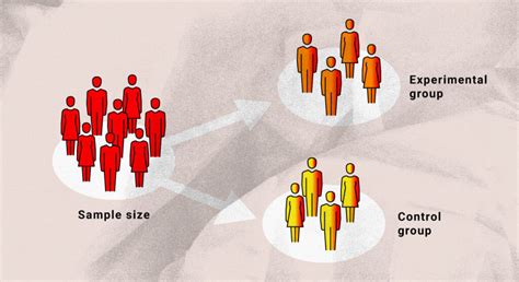 Discover the Purpose of an Experimental Group in Research