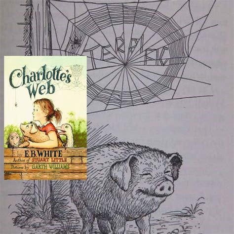 Unveiling the Controversy Behind the Ban of Charlottes Web