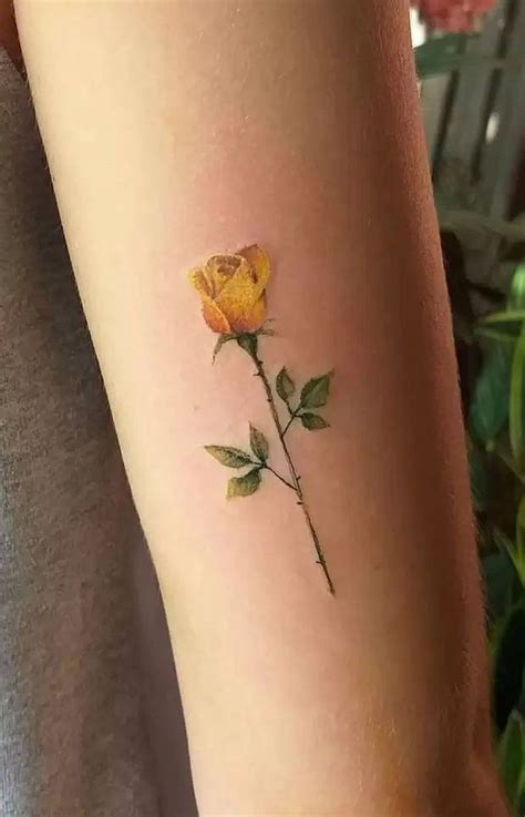 Yellow Rose Tattoo Designs Simple Small Rose Tattoos Design Yellow Rose Tattoo Designs Simple Small Rose Tattoos Design