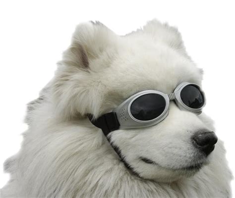 Unlock Zotistics: Revolutionary Discovery Unveiled